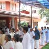 avds 2011 - participants